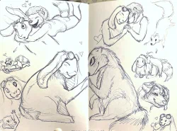 Califur2014