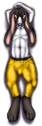 Dakimakura1