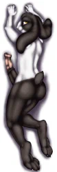 Dakimakura2