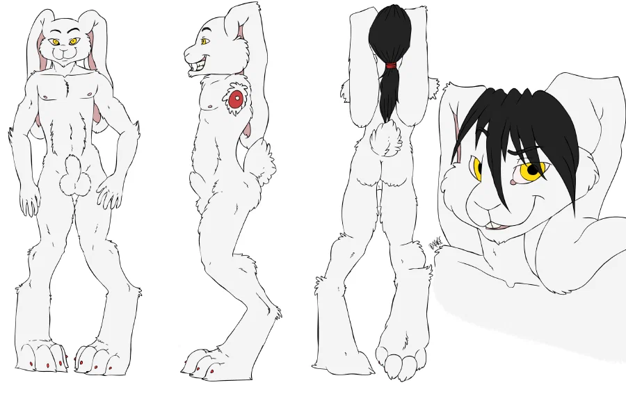 Reference Sheet