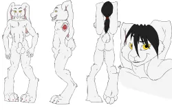 Reference Sheet