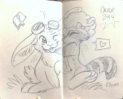 Califur 2014