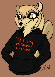 Halloweenhoodie Makeup