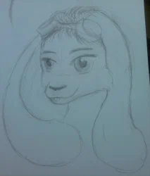 Sketch