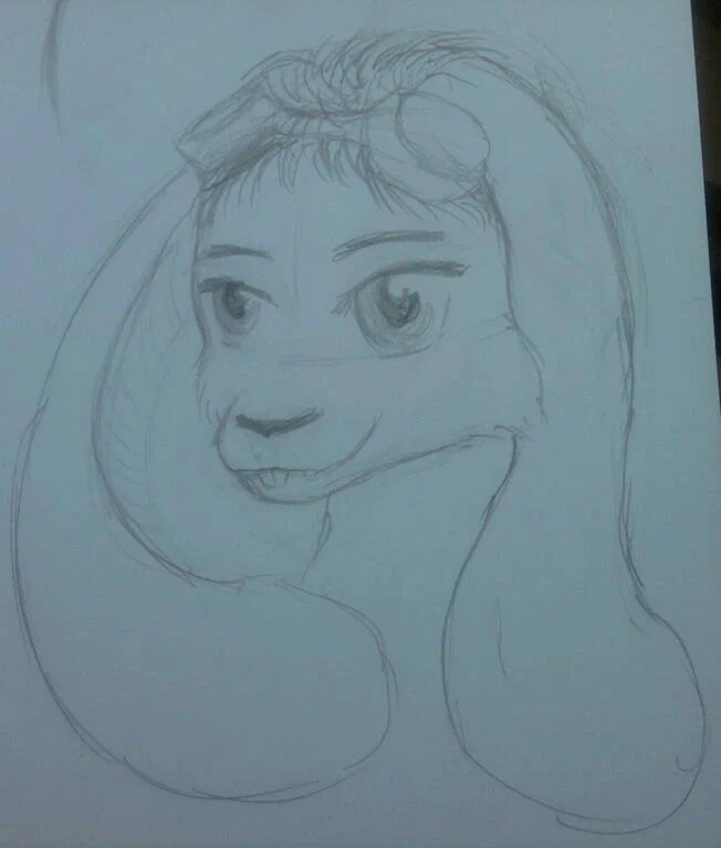 Sketch