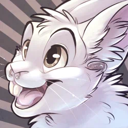 Bun